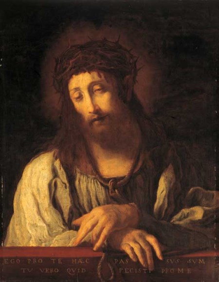 domenico-lg